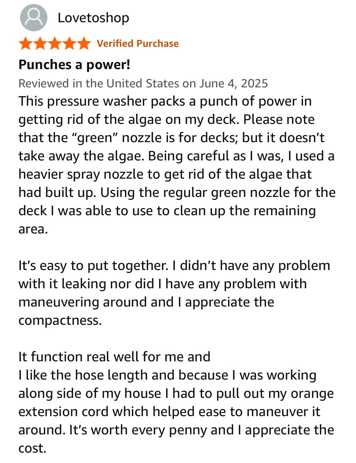 Powerful power washer review