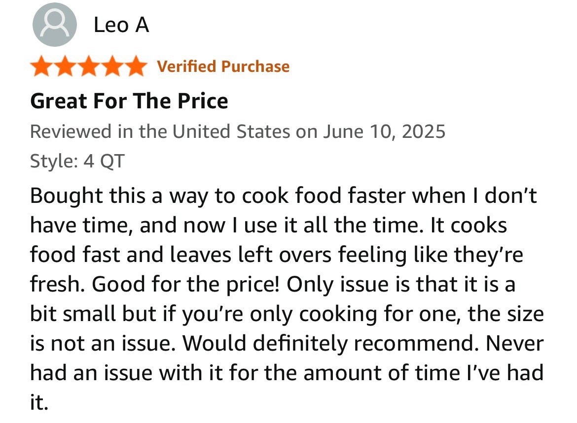 Ninja air fryer review